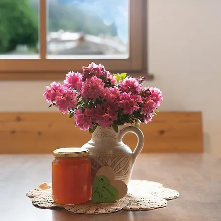 Aurora Moarhof Apartment
